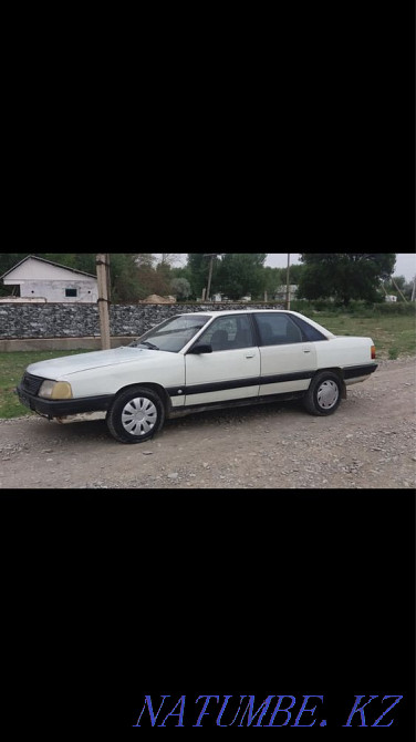    year Turkestan - photo 2