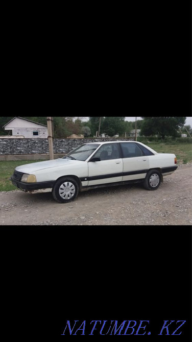    year Turkestan - photo 1