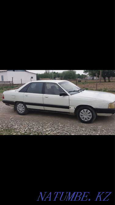    year Turkestan - photo 3