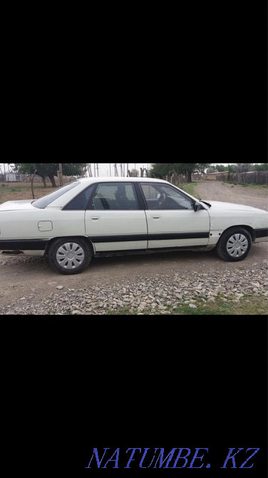    year Turkestan - photo 4