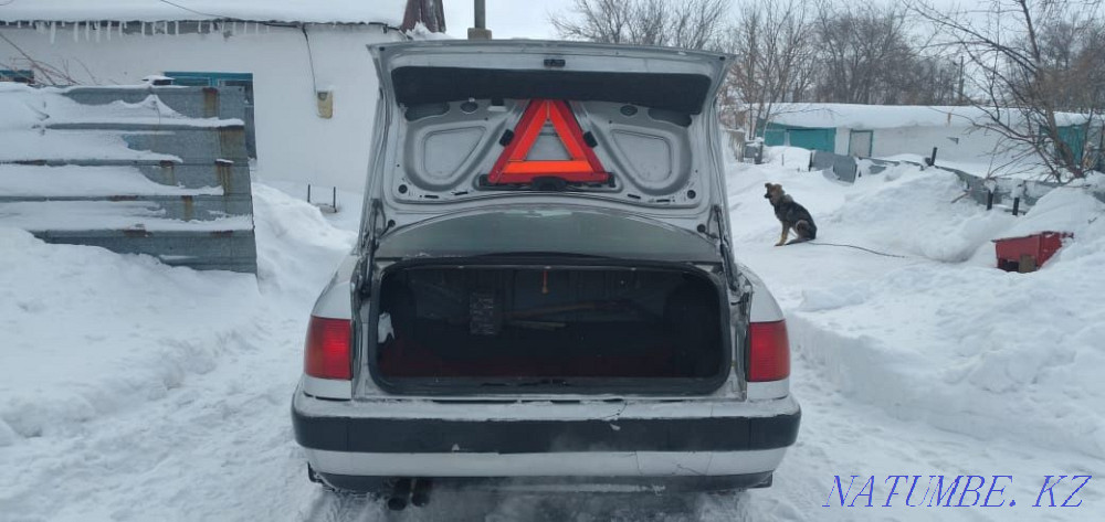    year Borly - photo 3