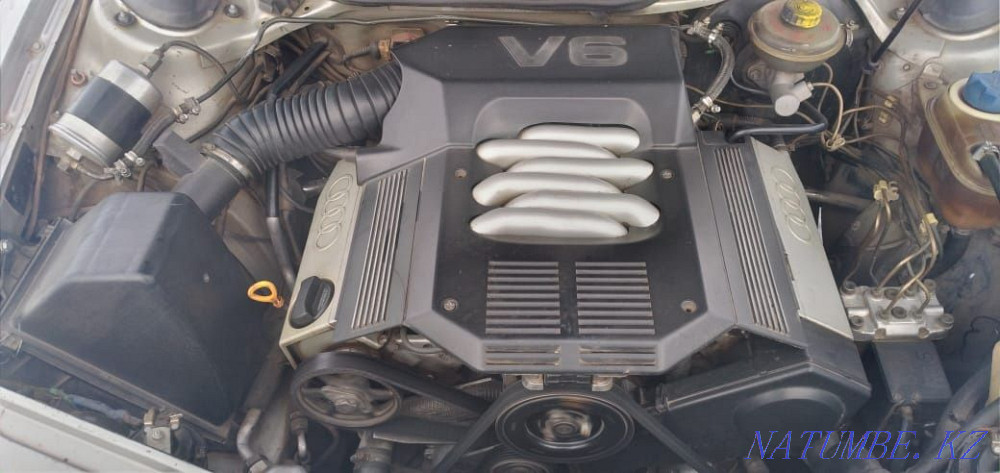    year Borly - photo 4