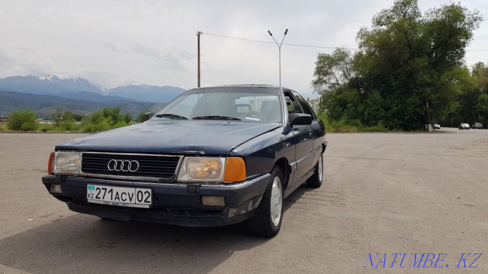    жыл Туздыбастау - изображение 2