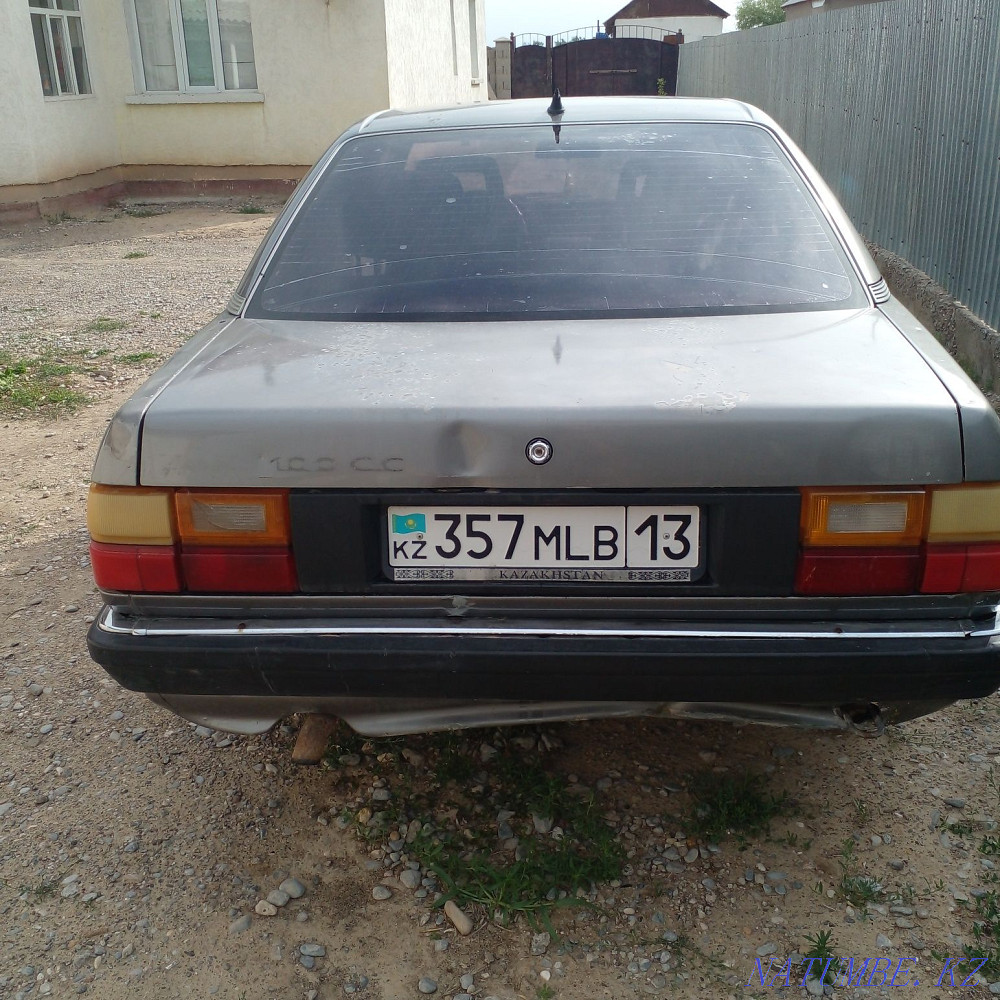    year Turkestan - photo 4