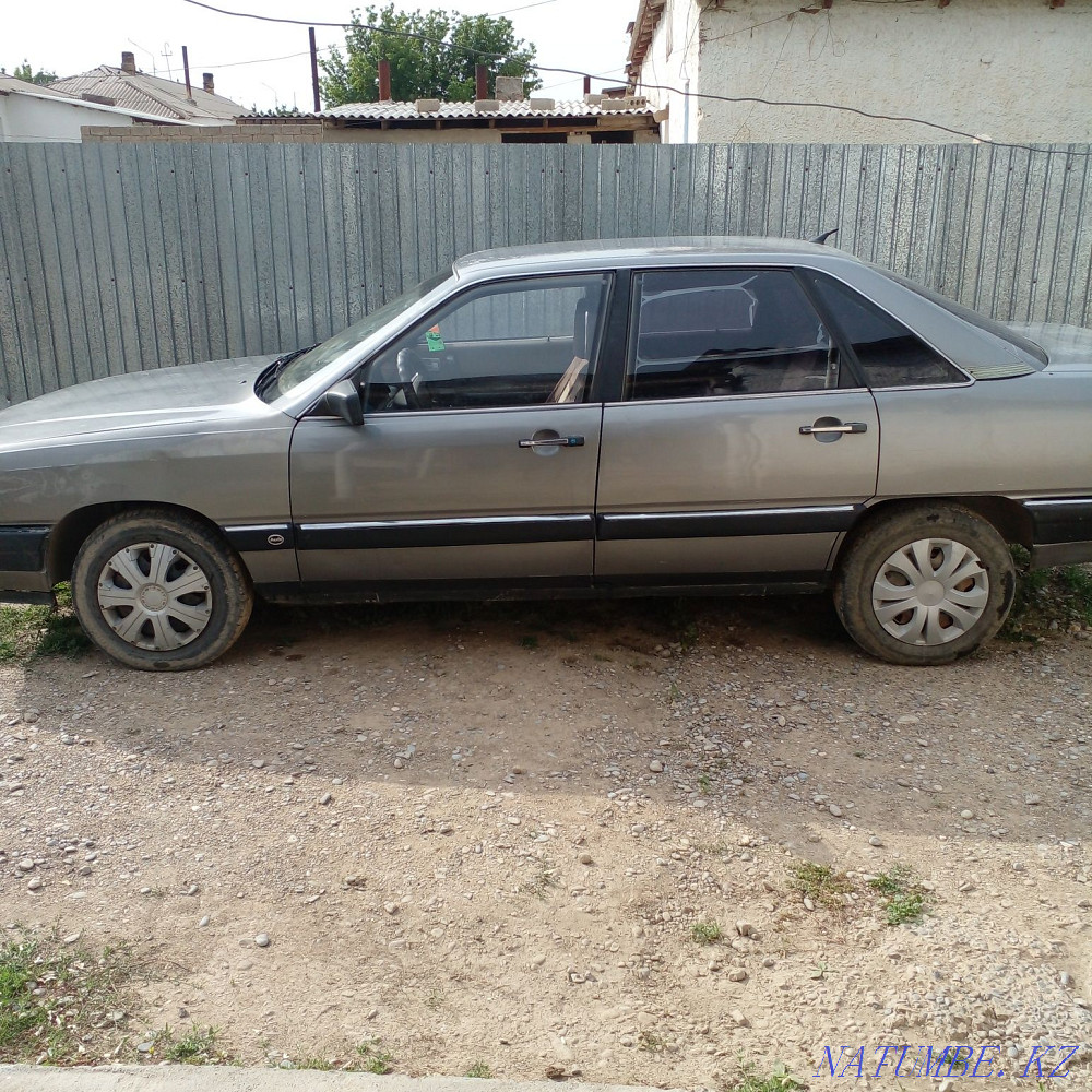    year Turkestan - photo 3