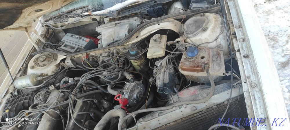    year Saryaghash - photo 3