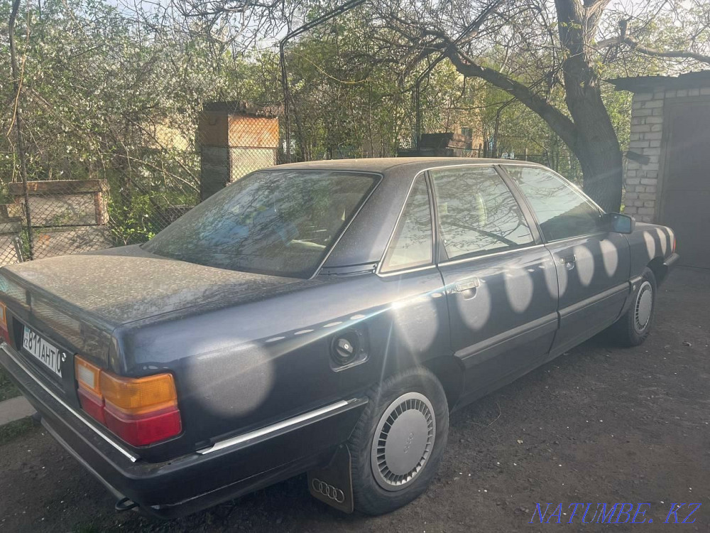    года Есик - изображение 7