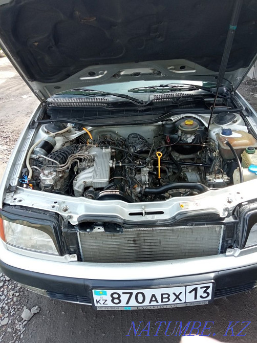    year Kentau - photo 5