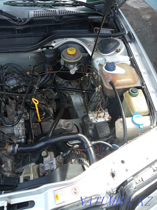    year Kentau - photo 6