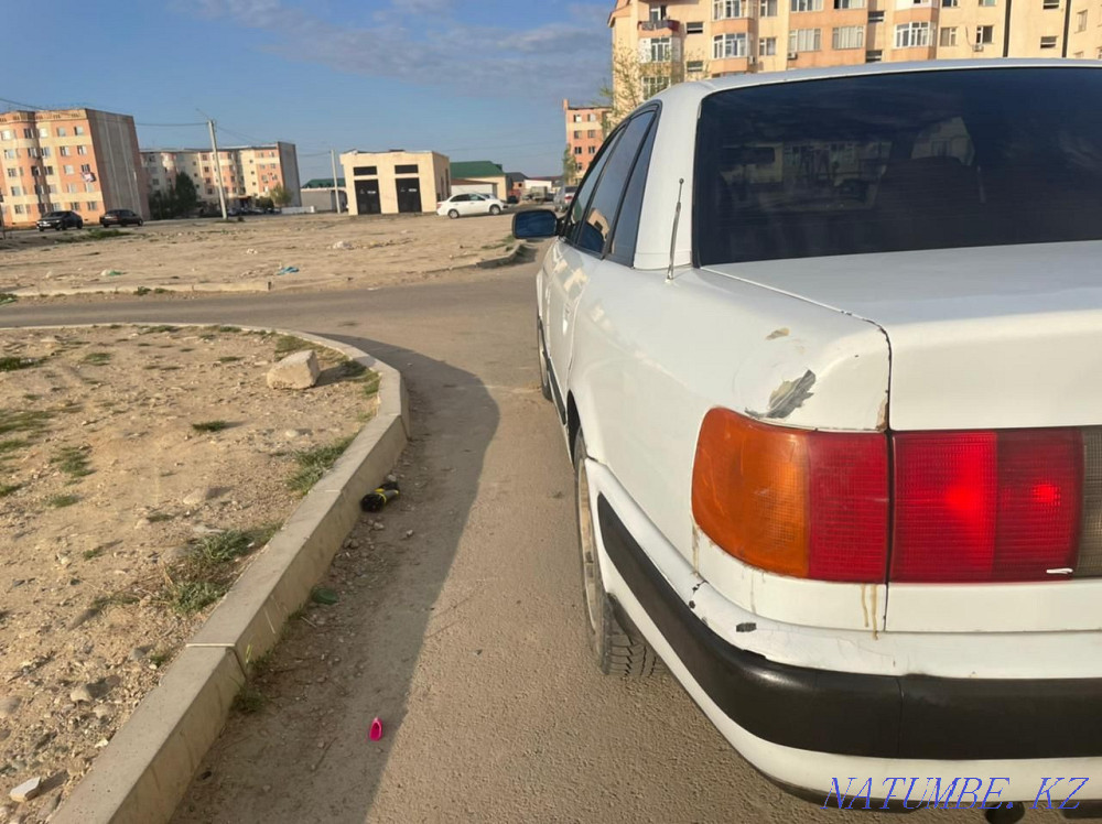    year Taraz - photo 2