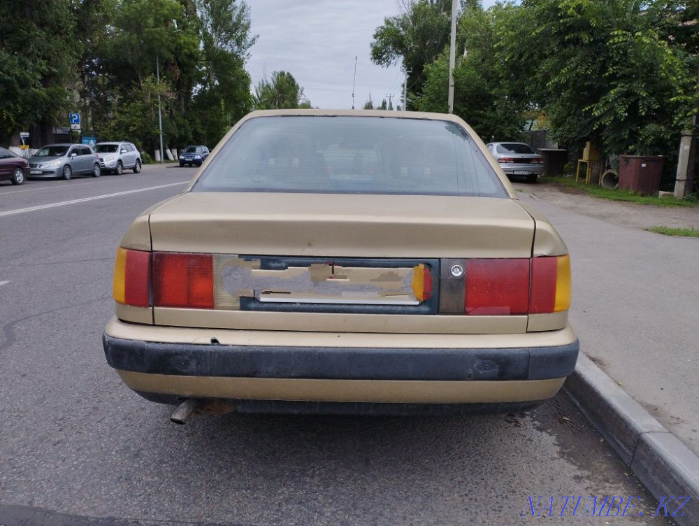    жыл Еркин - изображение 4