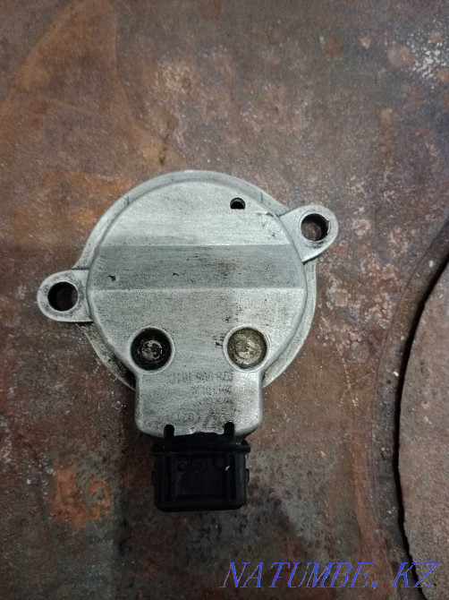    года Петропавловск - изображение 1