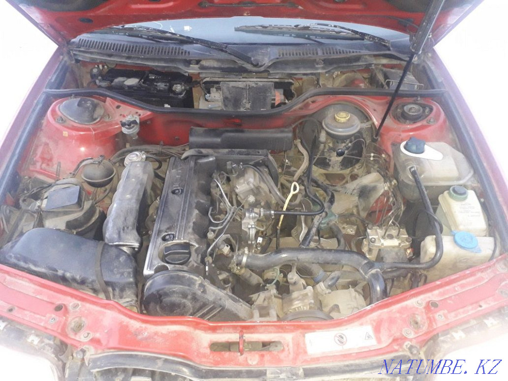    года Муткенова - изображение 5