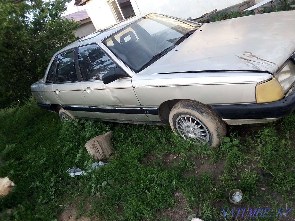    year Еркин - photo 2