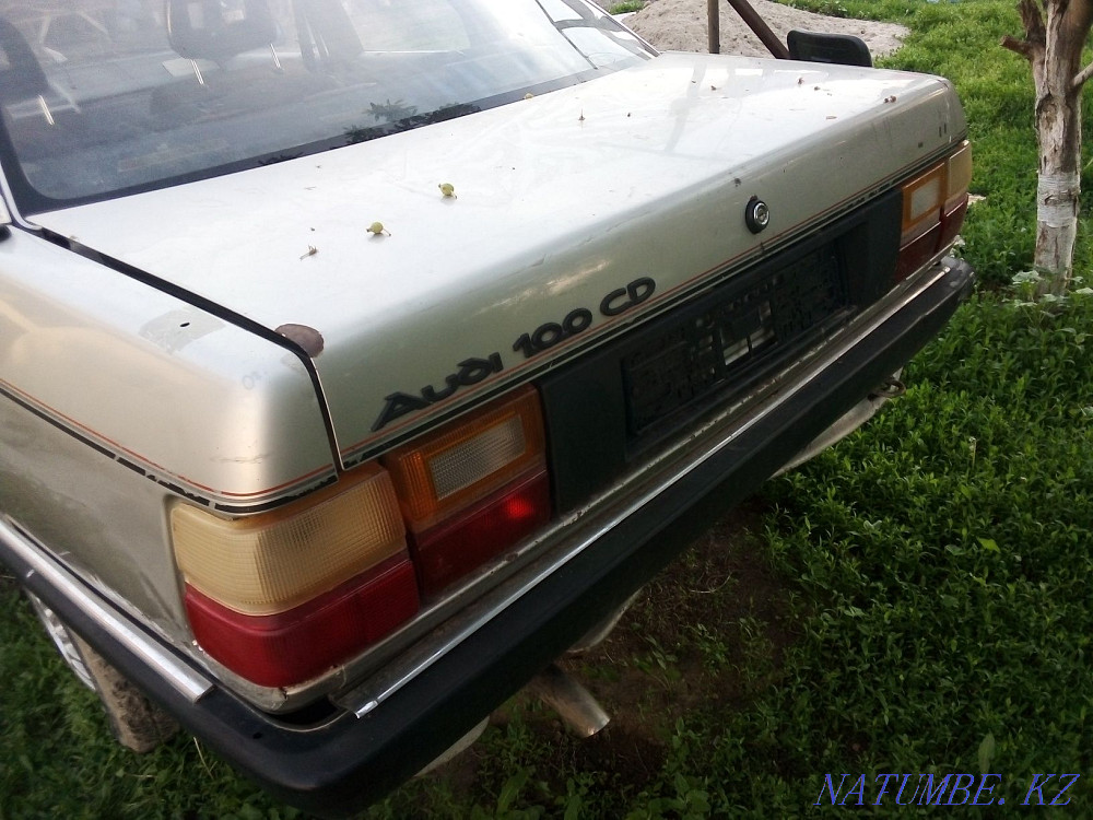    year Еркин - photo 3