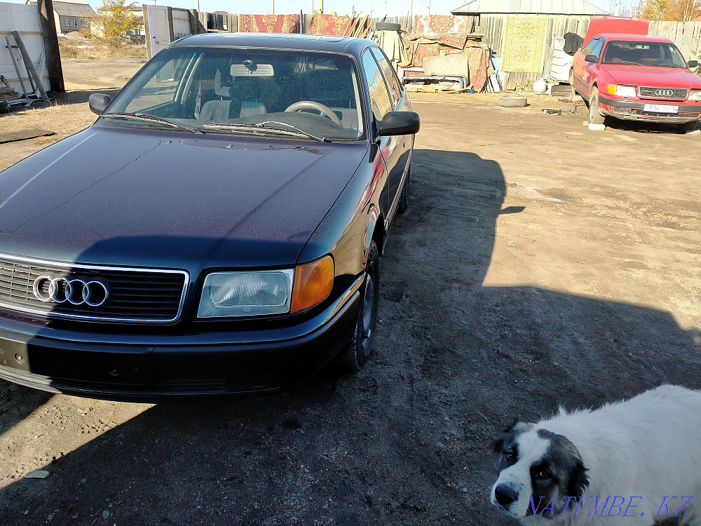    year Ekibastuz - photo 1