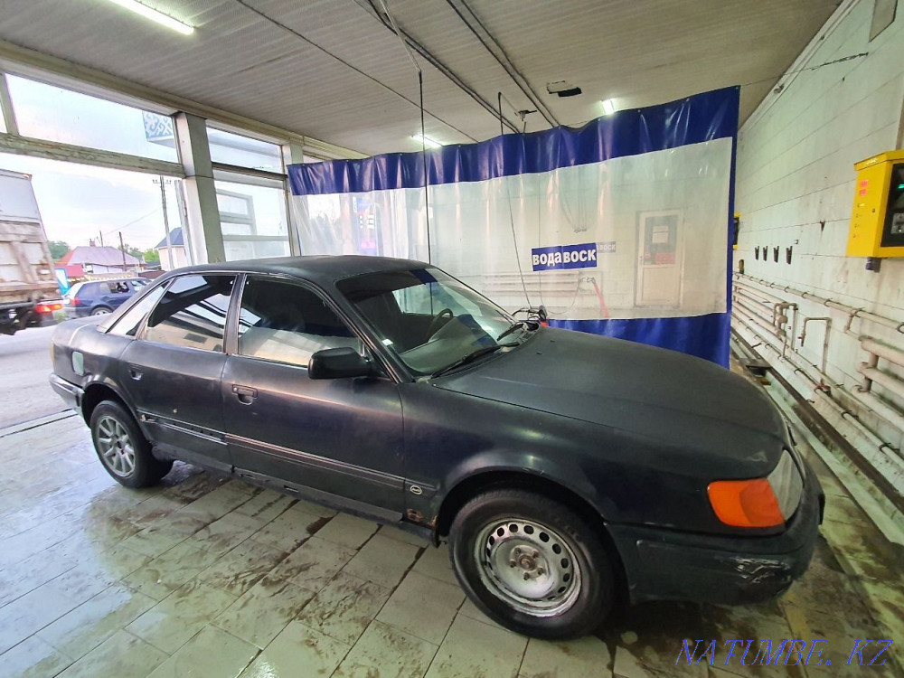    года Казцик - изображение 2