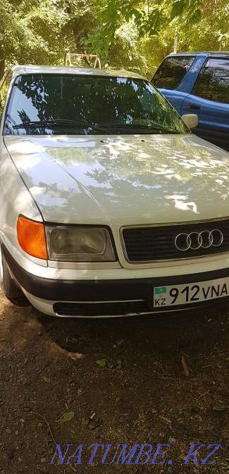    year Талас - photo 7