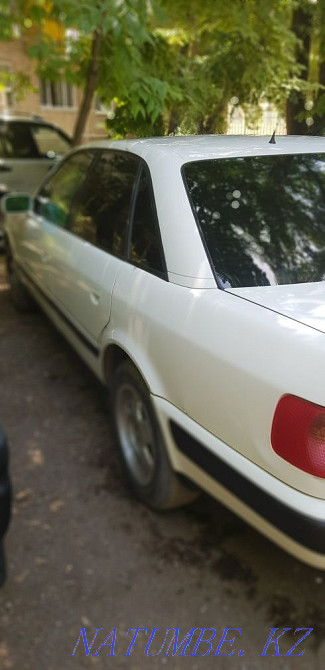    year Талас - photo 3