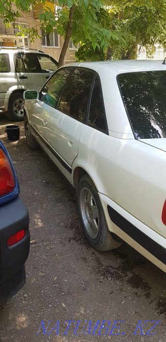    year Талас - photo 4