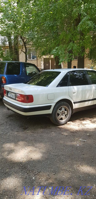    year Талас - photo 6