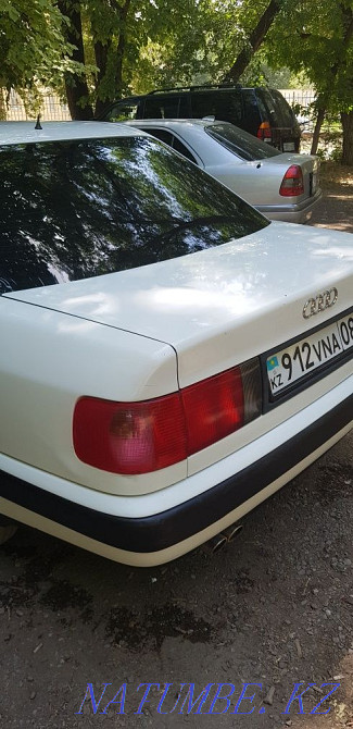    year Талас - photo 2