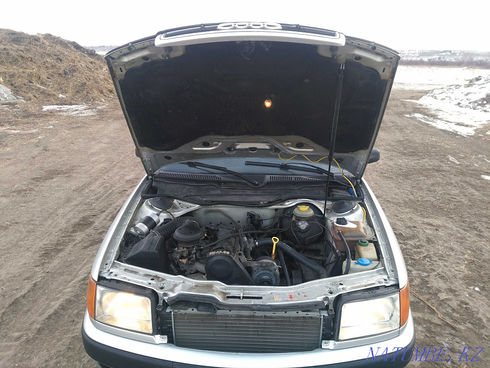    года Петропавловск - изображение 4