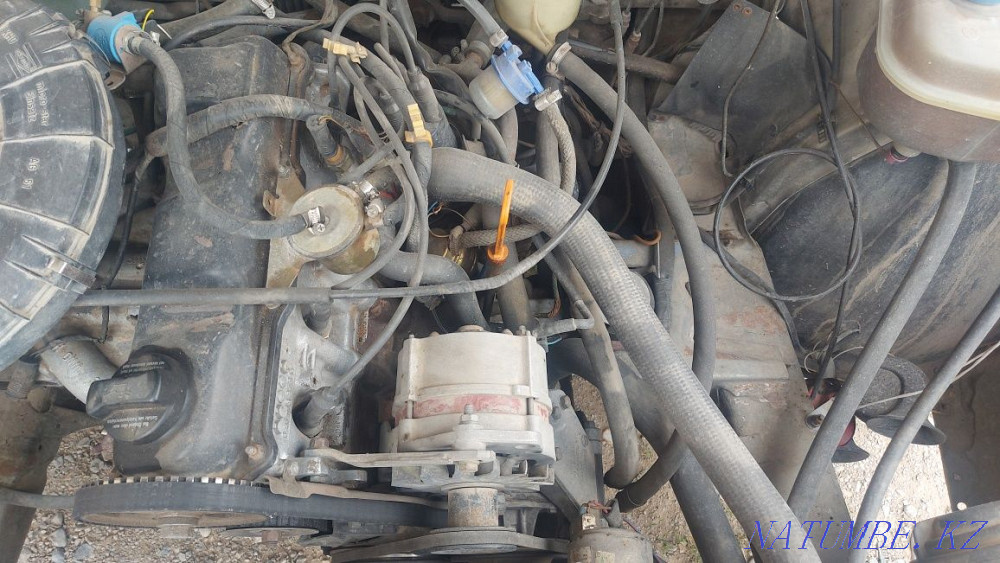    year Алмалы - photo 6