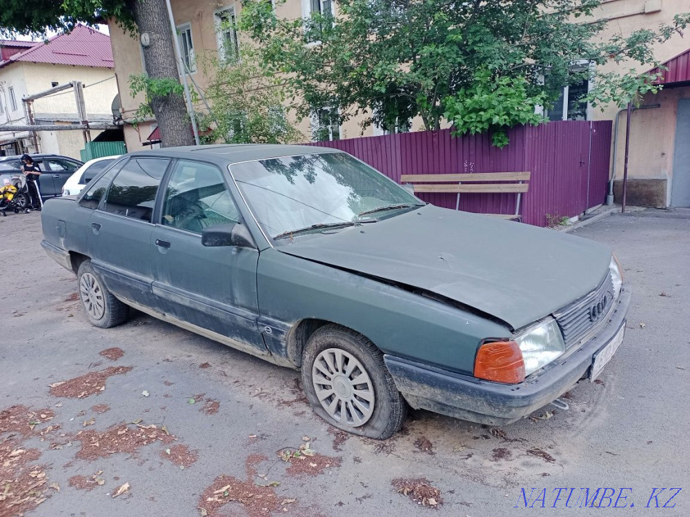    year Almaty - photo 1