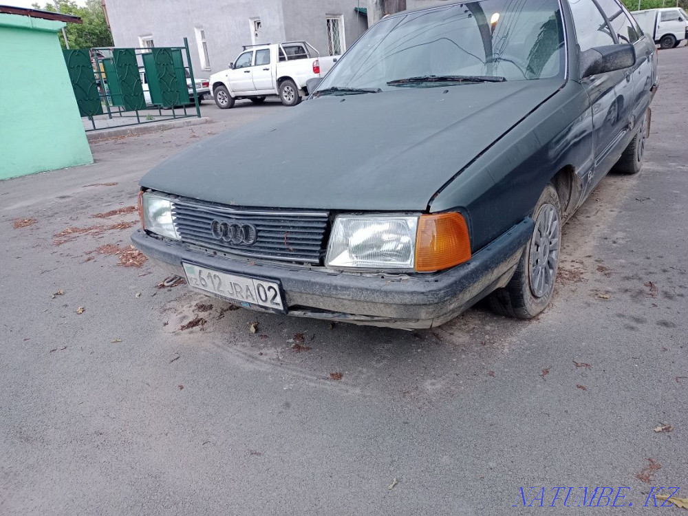    year Almaty - photo 2