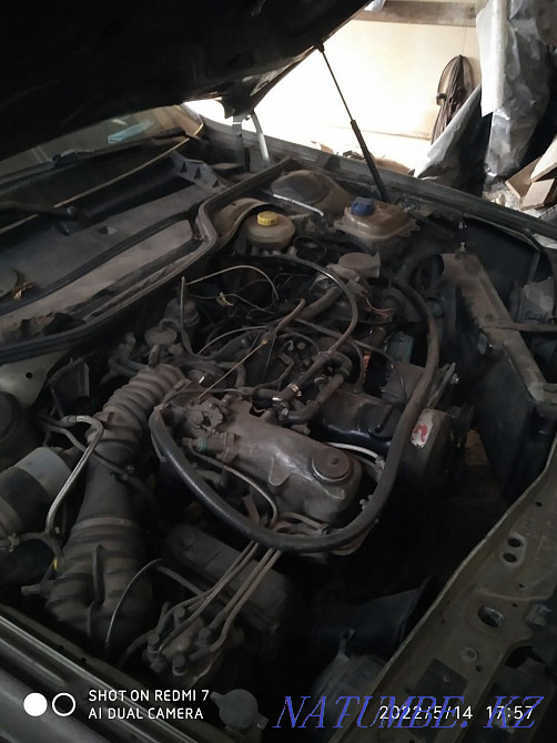    года Петропавловск - изображение 5