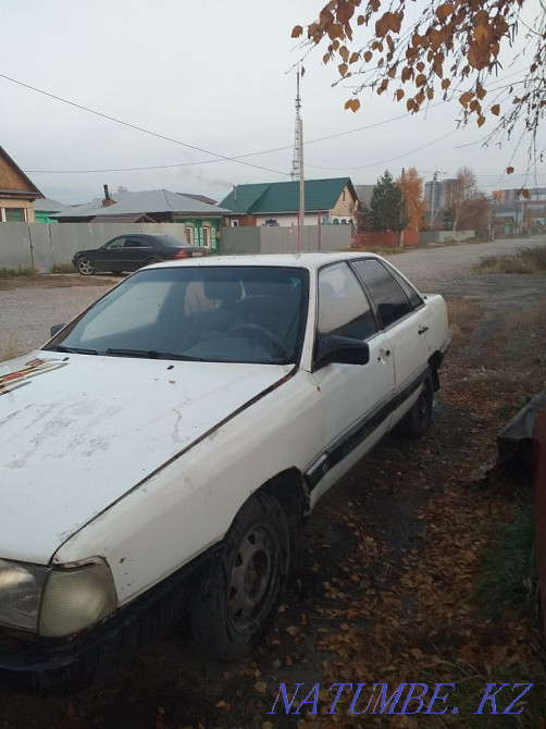    year Petropavlovsk - photo 3