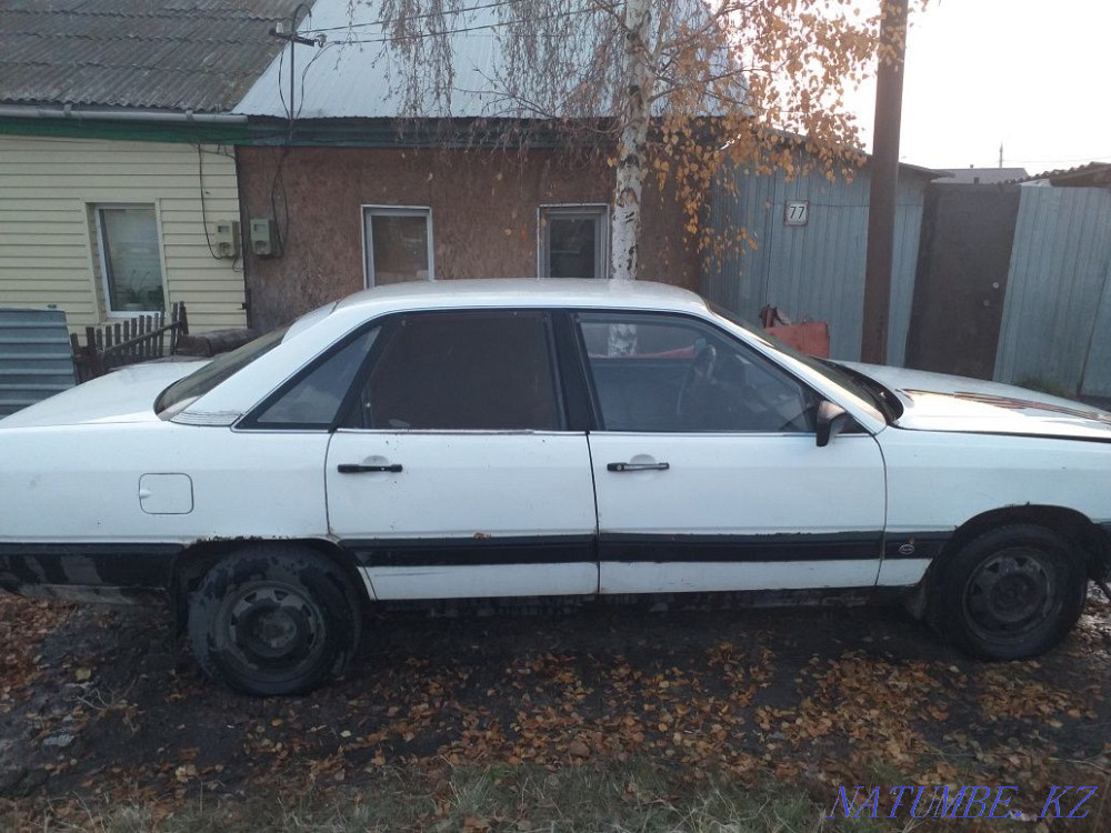    year Petropavlovsk - photo 1