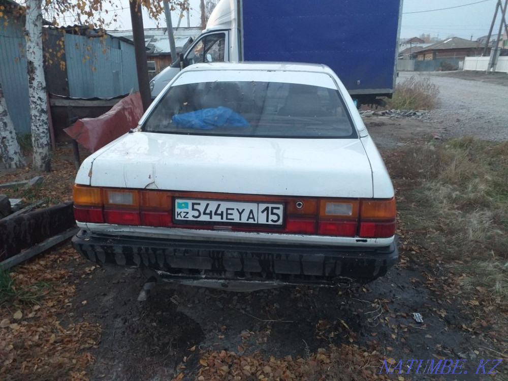    year Petropavlovsk - photo 2