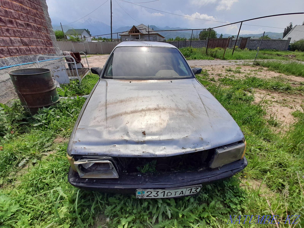    year Urochishche Talgarbaytuma - photo 2