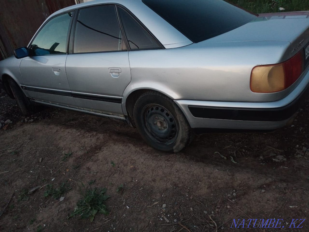    year Большой чаган - photo 3