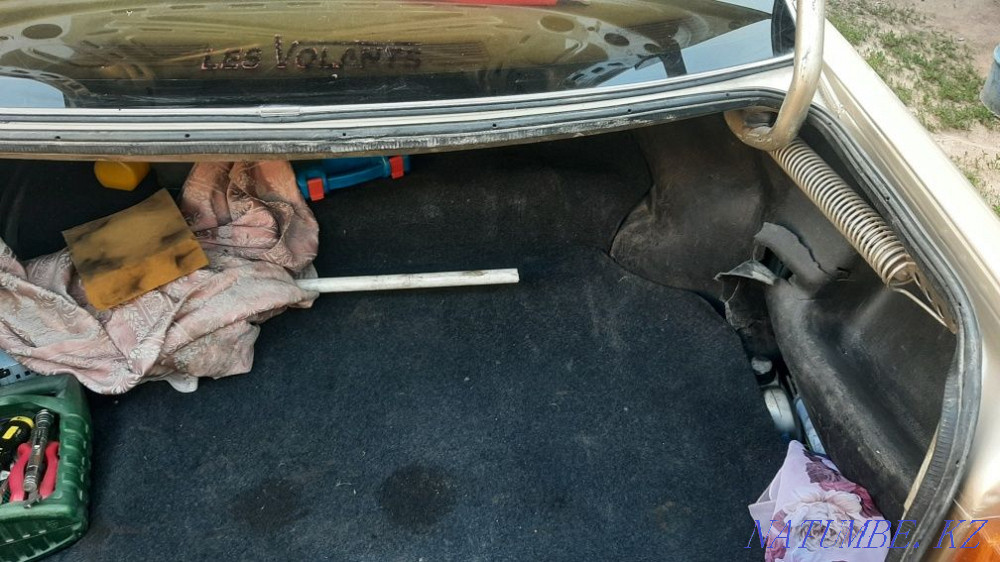    year Almaty - photo 3