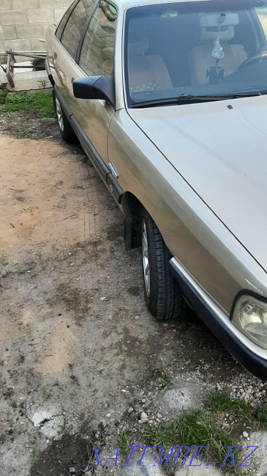    year Almaty - photo 4