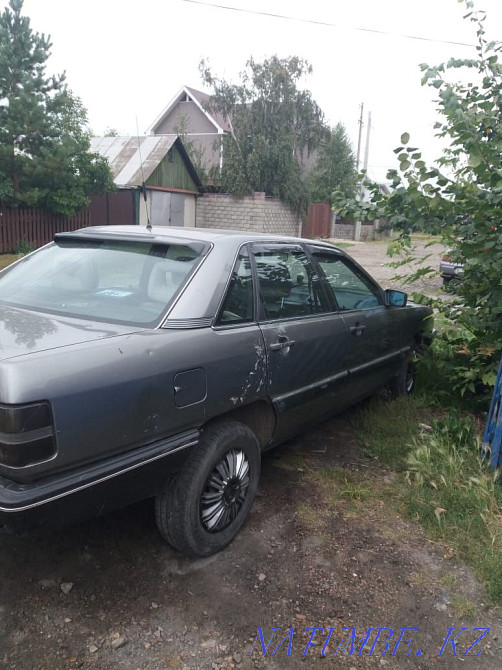    year Petropavlovsk - photo 2