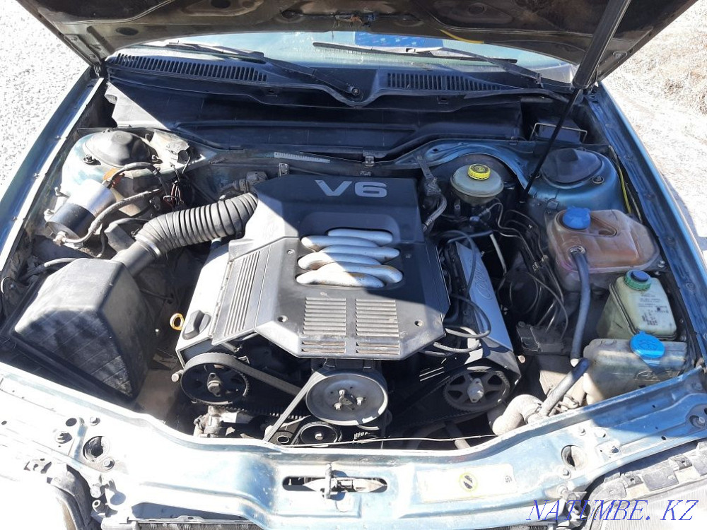    year Petropavlovsk - photo 7