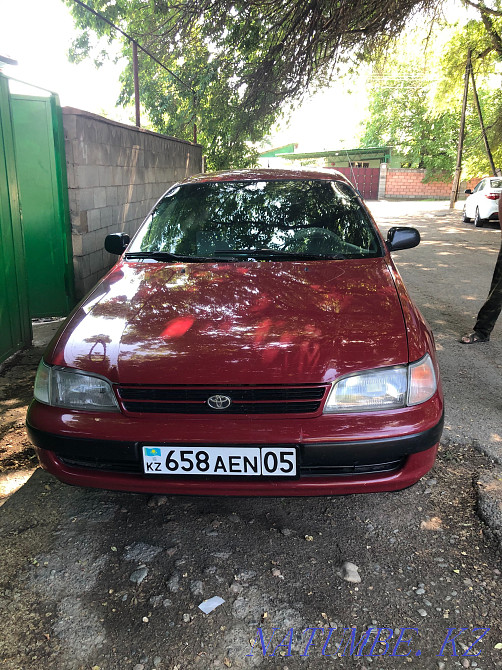    year Qaskeleng - photo 1