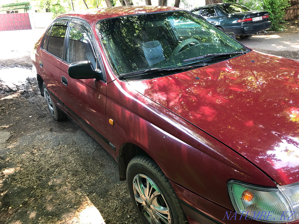    year Qaskeleng - photo 4