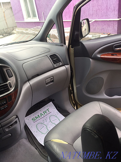    жыл Туркестан - изображение 7