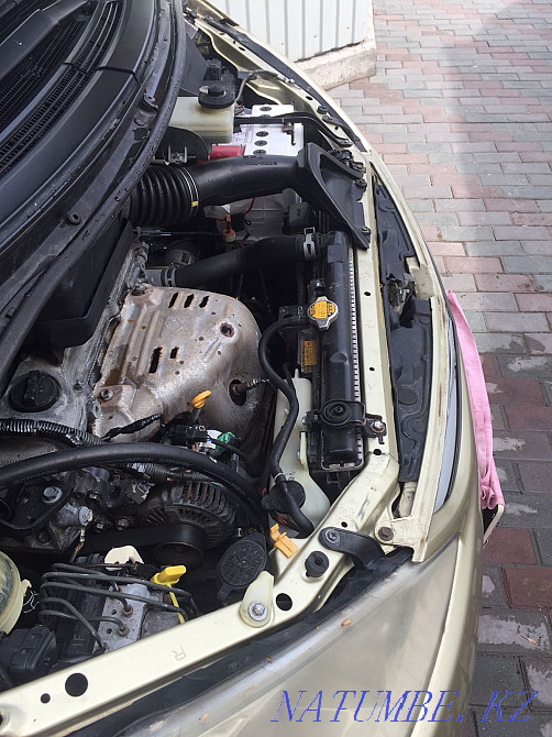    жыл Туркестан - изображение 6