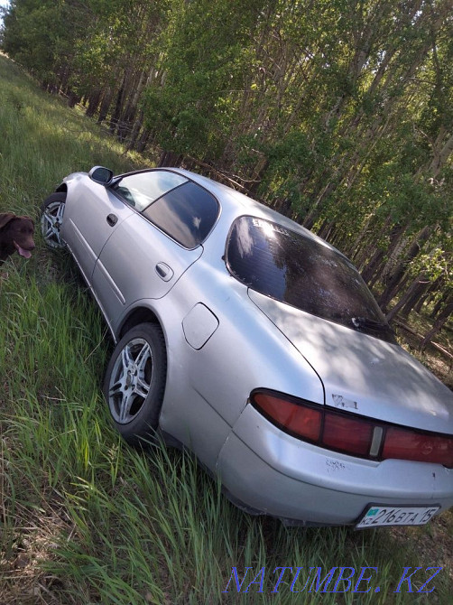    year Petropavlovsk - photo 6