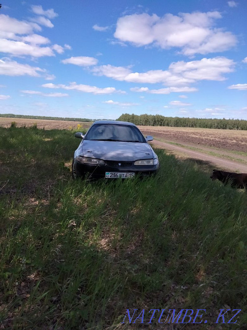    year Petropavlovsk - photo 2