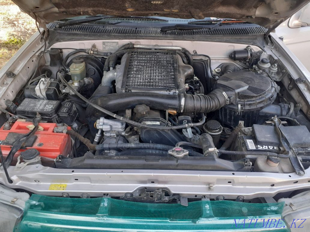    года Семей - изображение 6