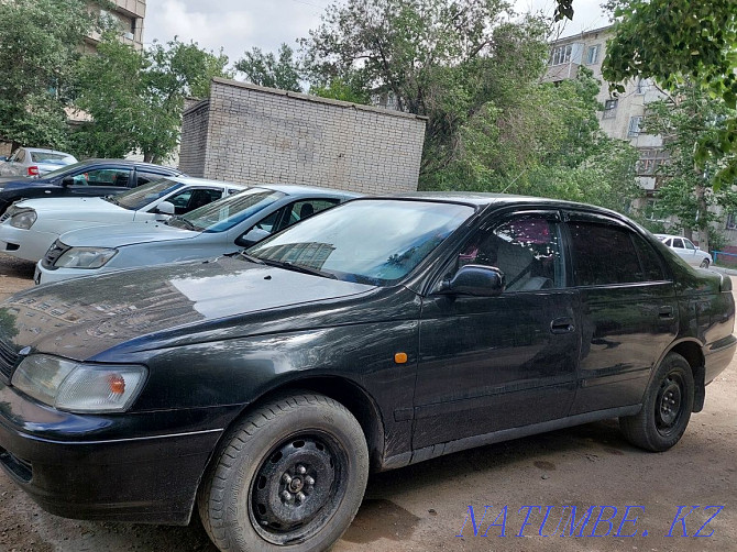    year Semey - photo 3