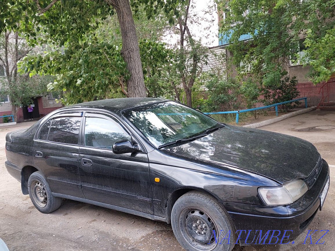    year Semey - photo 4