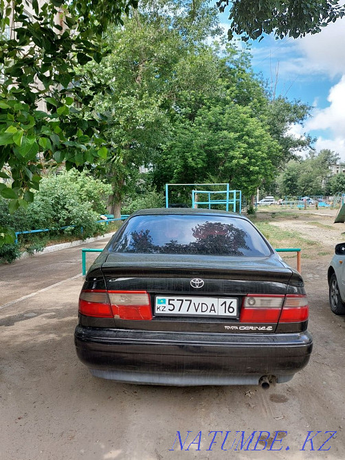    года Семей - изображение 7